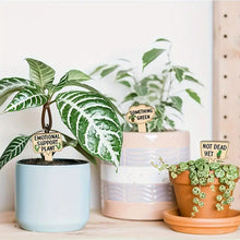 Load image into Gallery viewer, Funny Wooden Plant Labels