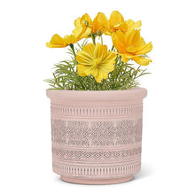 Load image into Gallery viewer, Embossed Band Planter-5"H
