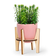 Load image into Gallery viewer, Pot w/Wooden Stand-Pnk