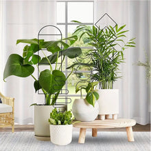 Load image into Gallery viewer, Mini Metal Plant Trellis