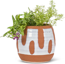 Load image into Gallery viewer, Md Dot&Dash Barrel Planter-5"H