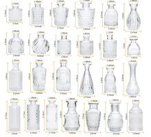 Load image into Gallery viewer, PROPAGATION VASES