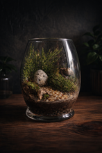Load image into Gallery viewer, Glass terrarium with plants and rocks on a wooden surface