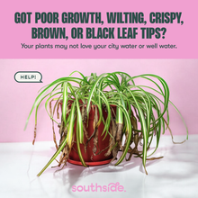 Load image into Gallery viewer, Houseplant Tap Water Conditioner