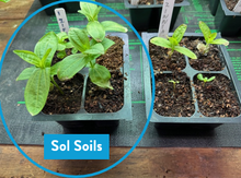 Load image into Gallery viewer, Soil (1Gal) Seedling & Propagation Mix: 1 Gallon (4 quarts)