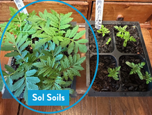 Load image into Gallery viewer, Soil (1Gal) Seedling & Propagation Mix: 1 Gallon (4 quarts)