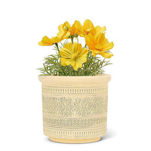 Load image into Gallery viewer, Embossed Band Planter-5"H
