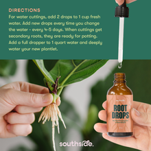 Load image into Gallery viewer, Root Drops - For Propagations &amp; Repotting
