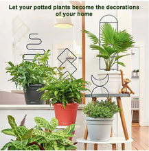 Load image into Gallery viewer, Mini Metal Plant Trellis
