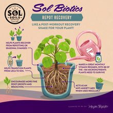 Load image into Gallery viewer, Repot Recovery - Repotting Shock Treatment
