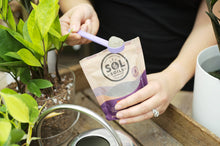 Load image into Gallery viewer, Soil Salvation - Worm Castings &amp; Biochar
