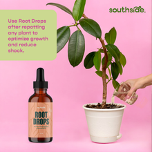 Load image into Gallery viewer, Root Drops - For Propagations &amp; Repotting

