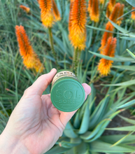 Load image into Gallery viewer, Repotting Soil Scoops

