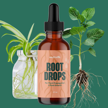 Load image into Gallery viewer, Root Drops - For Propagations &amp; Repotting
