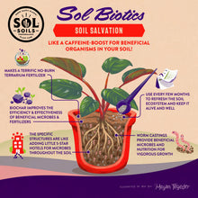 Load image into Gallery viewer, Soil Salvation - Worm Castings &amp; Biochar
