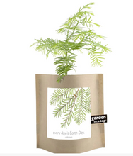 Load image into Gallery viewer, Garden in A Bag
