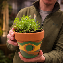 Load image into Gallery viewer, Person holding a potted plant with a hand decorated pot
