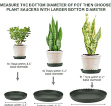 Load image into Gallery viewer, Plant Saucer
