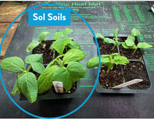Load image into Gallery viewer, Soil (1Gal) Seedling &amp; Propagation Mix: 1 Gallon (4 quarts)

