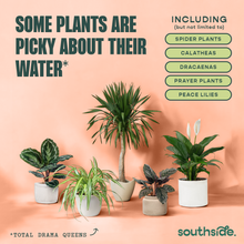 Load image into Gallery viewer, Houseplant Tap Water Conditioner
