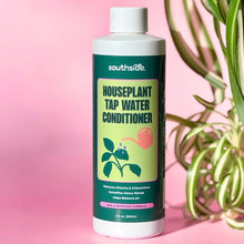 Load image into Gallery viewer, Houseplant Tap Water Conditioner
